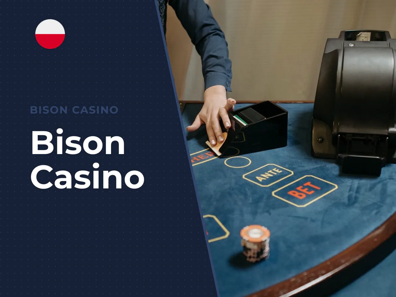 Bison Casino heading-banner