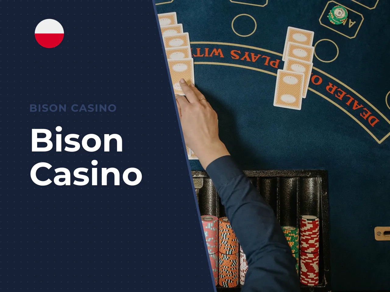 Bison Casino heading-banner