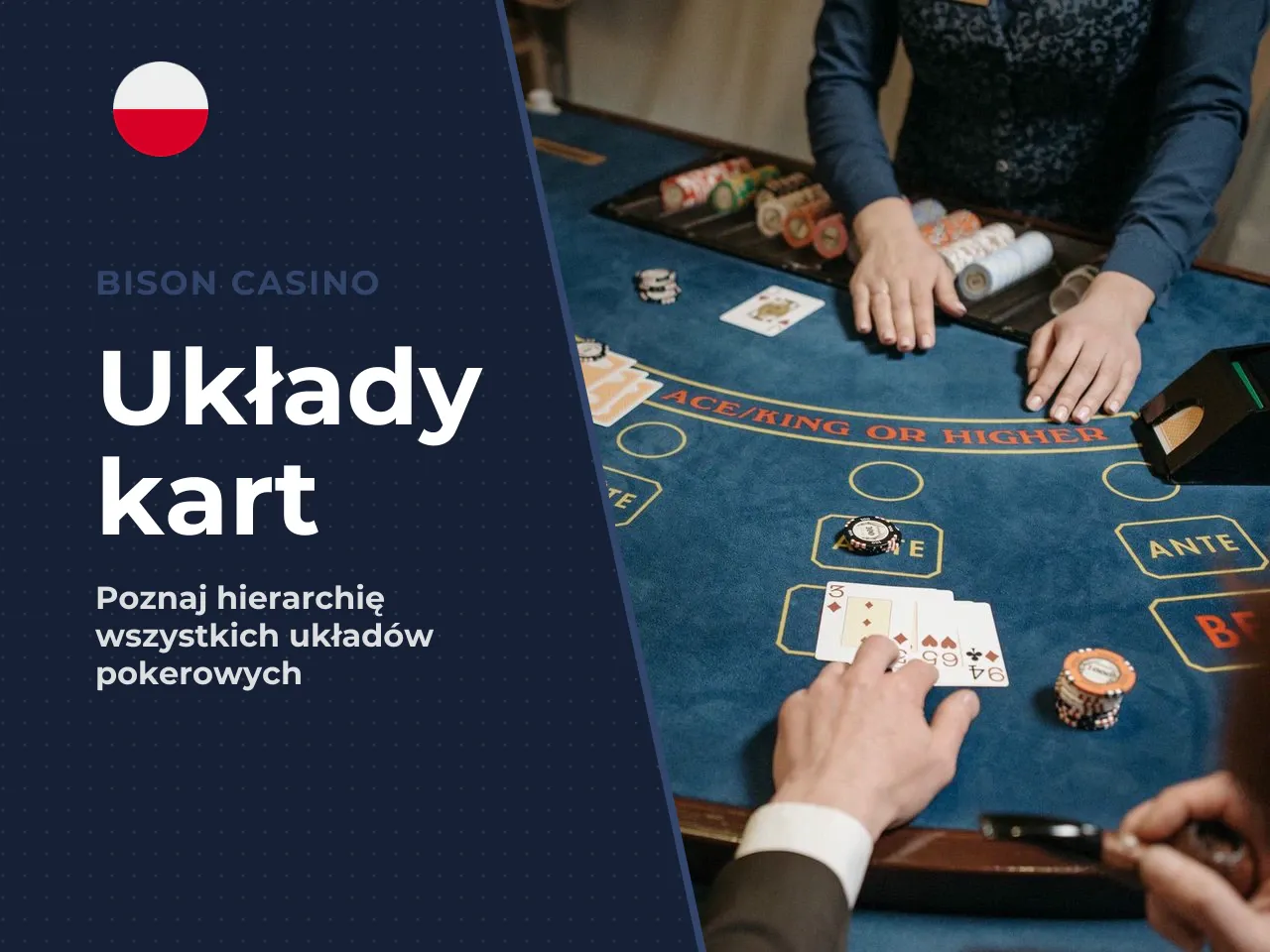 Krótki opis każdego układu