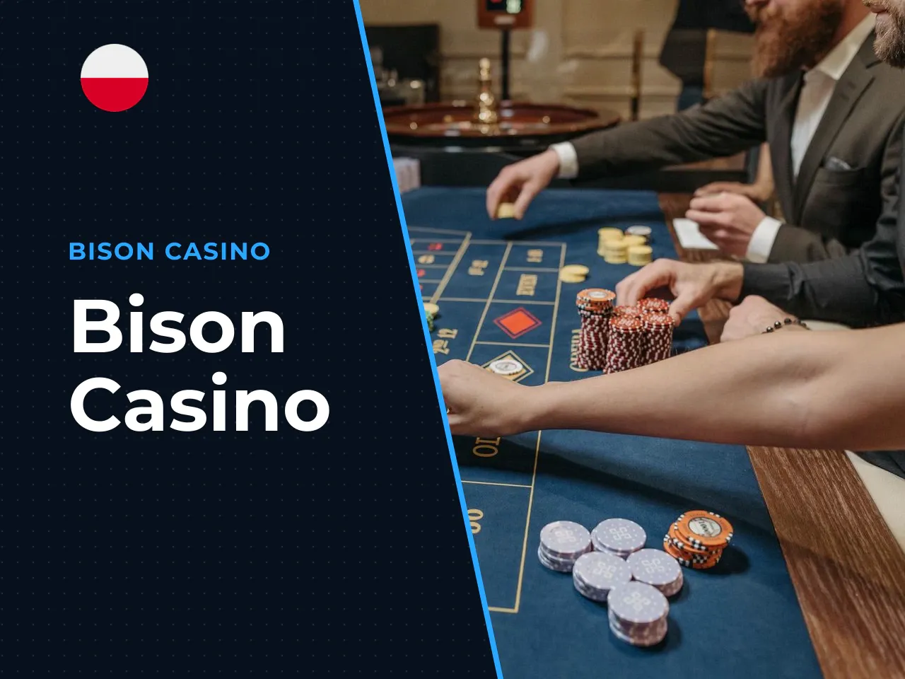 Bison Casino heading-banner