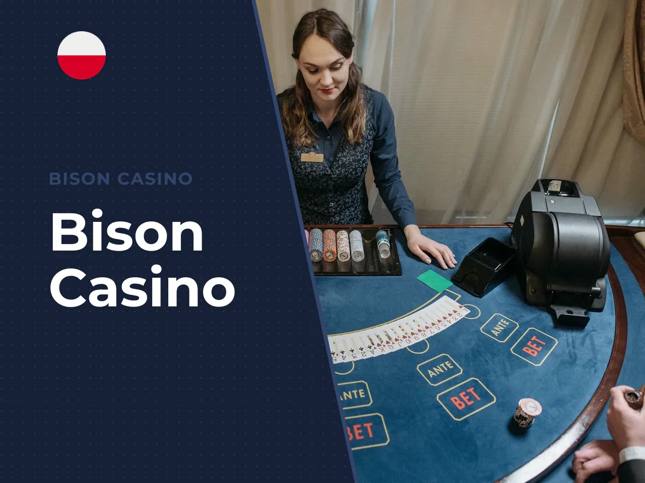 Bison Casino heading-banner