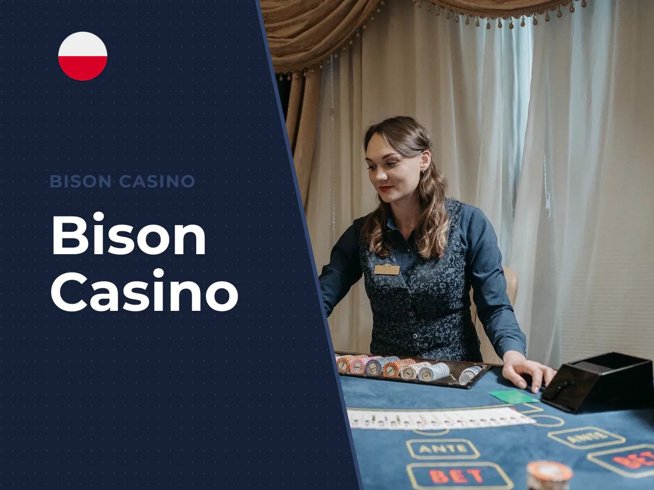 Bison Casino heading-banner