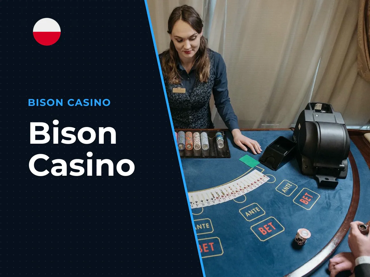 Bison Casino heading-banner