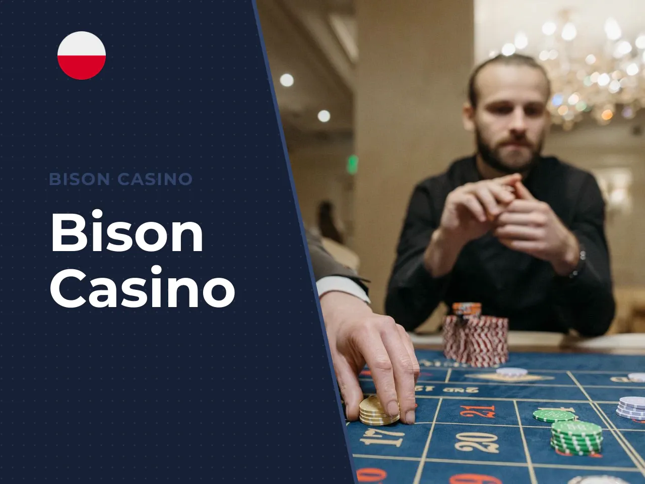 Bison Casino heading-banner