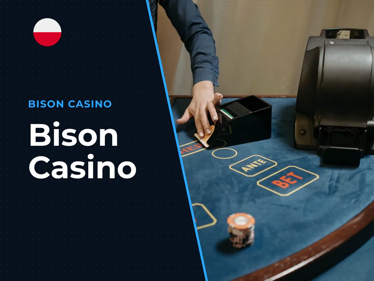 Bison Casino heading-banner